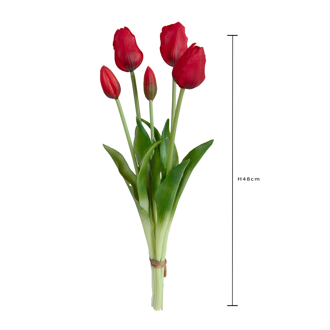 Tulipano Mazzo 5 pezzi • 48 cm