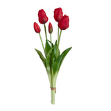 Tulipano Mazzo 5 pezzi • 48 cm