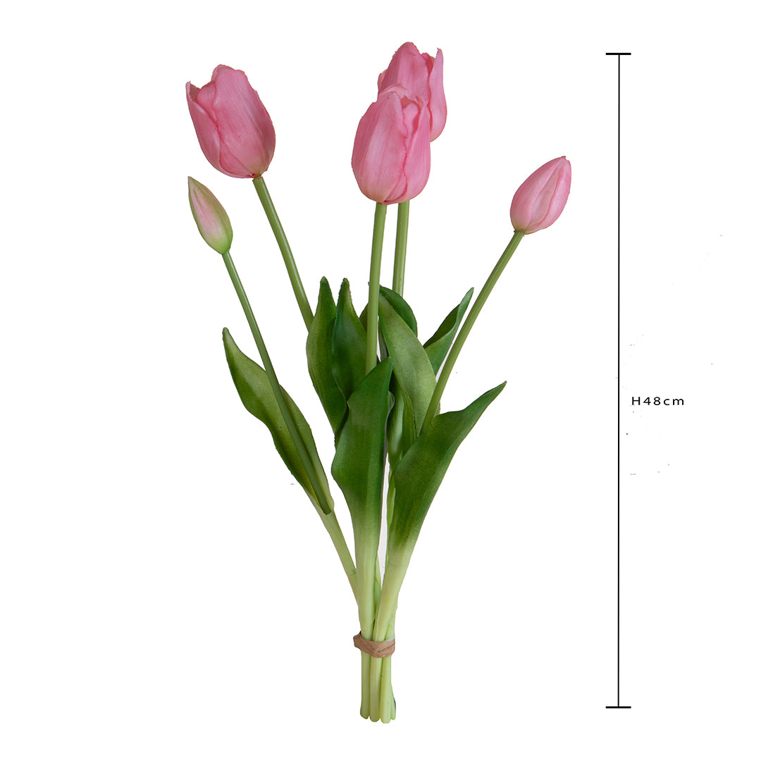 Tulipano Mazzo 5 pezzi • 48 cm