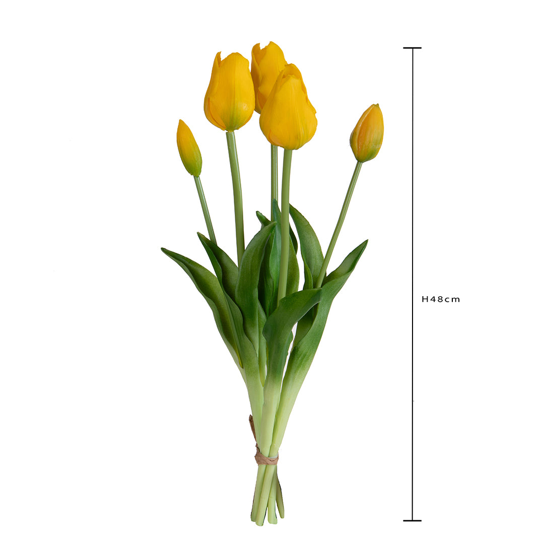 Tulipano Mazzo 5 pezzi • 48 cm