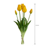 Tulipano Mazzo 5 pezzi • 48 cm