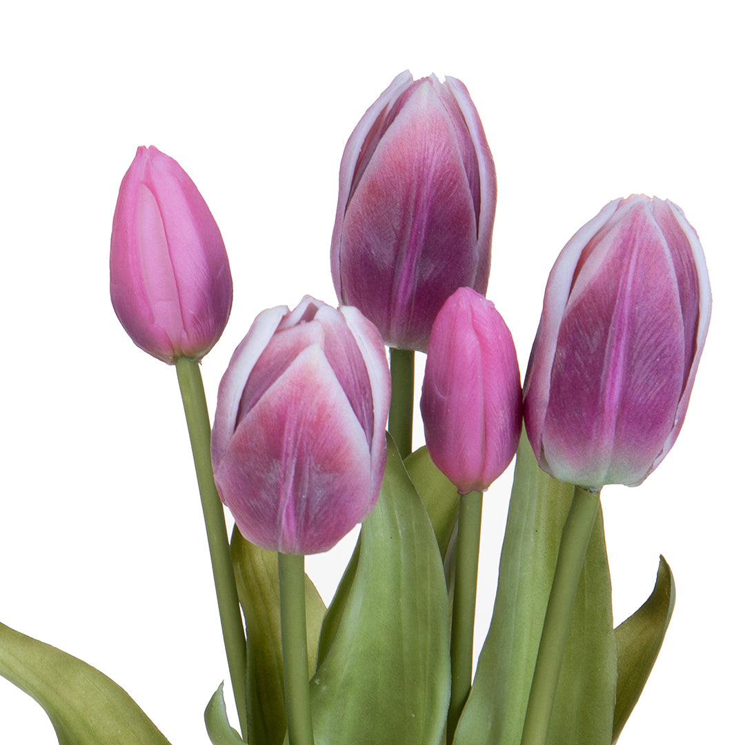 Tulipano per 5 fiori • 39 cm