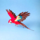 Pappagallo ali aperte • 75 cm