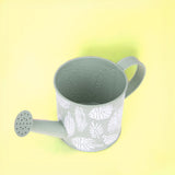 3 Pezzi • Annaffiatoio • 12 cm