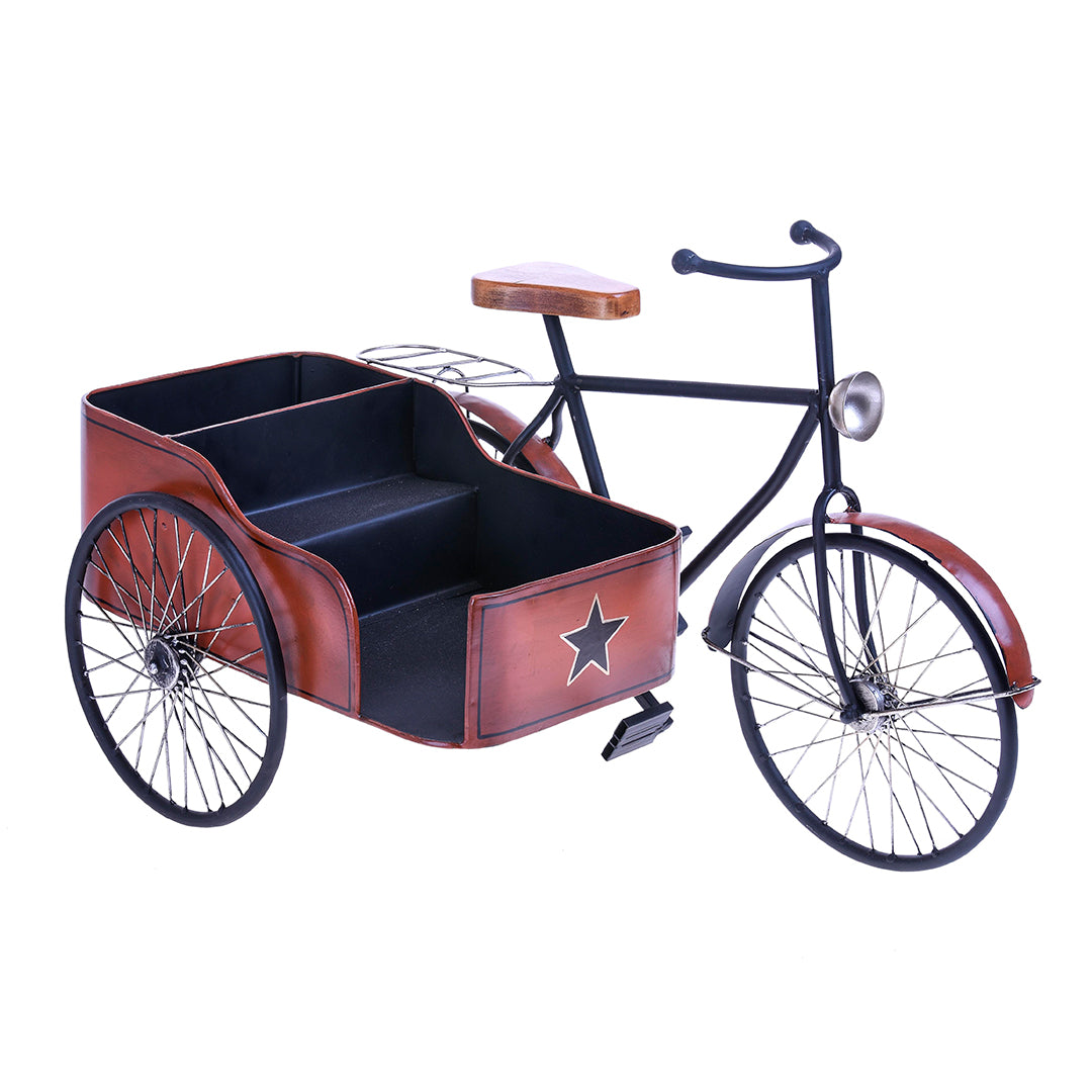 Bici sidecar contenitore • 58 cm