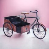 Bici sidecar contenitore • 58 cm