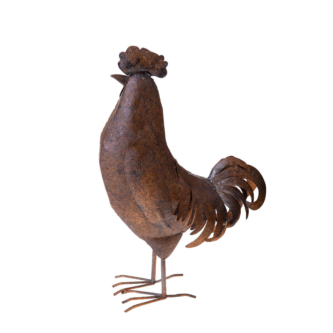 Gallina metallo • 54 cm