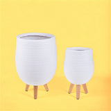 Set da 2 cachepotgambe faggio • 22 cm