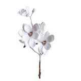 Pezzi 12 • Ramo fiori magnolia • H 76 cm