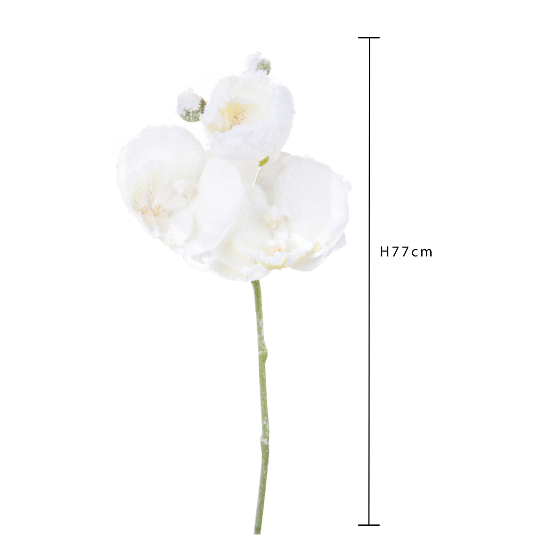 Pezzi 24 • Tralcio phaleonopsis • H 77 cm