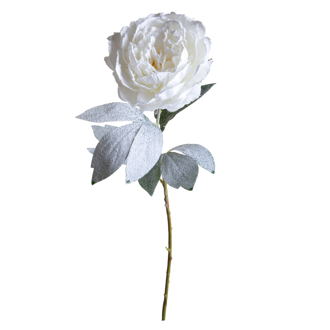 Pezzi 12 • Peonia con neve • H 76 cm