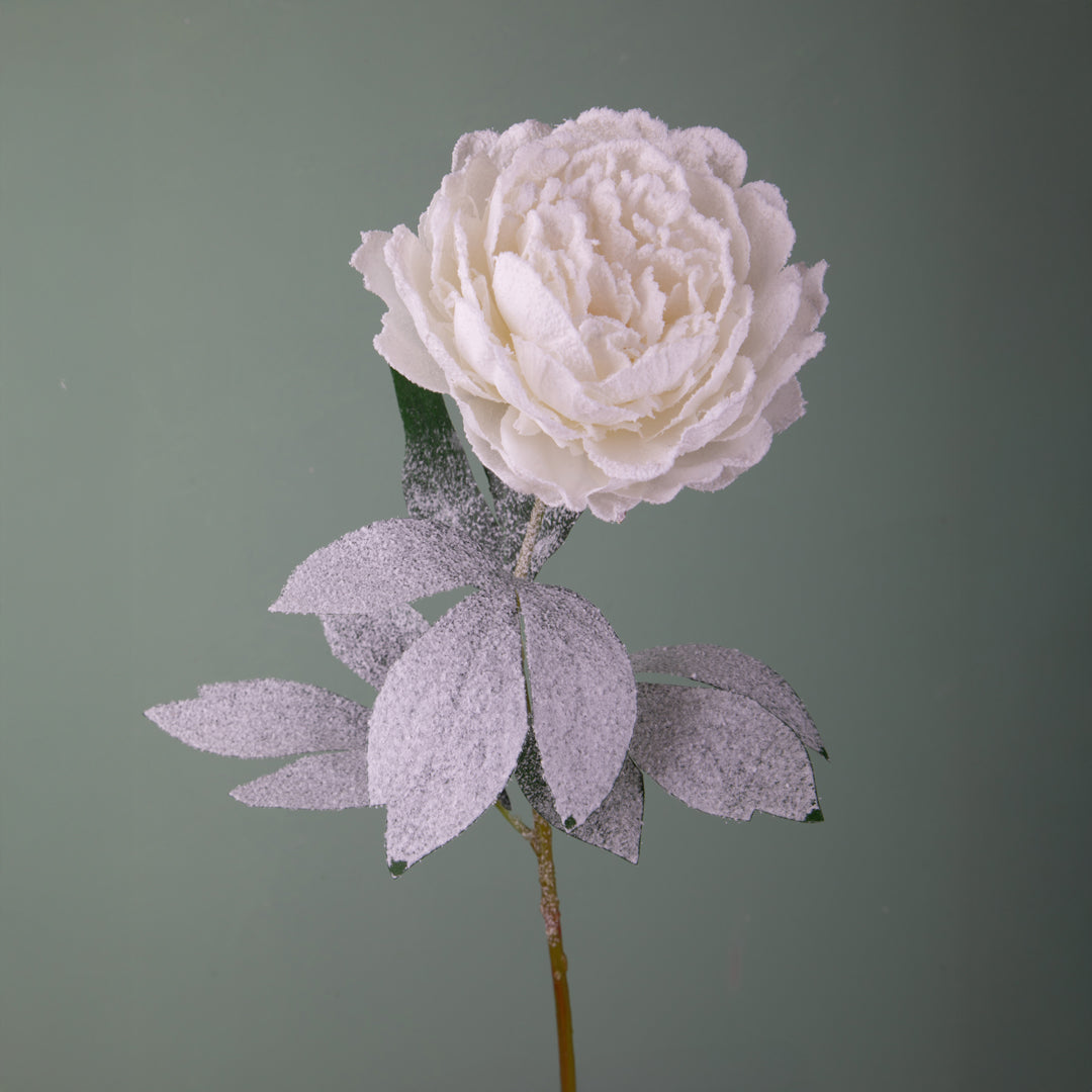 6 Pezzi •  Peonia con Neve  • 76 cm