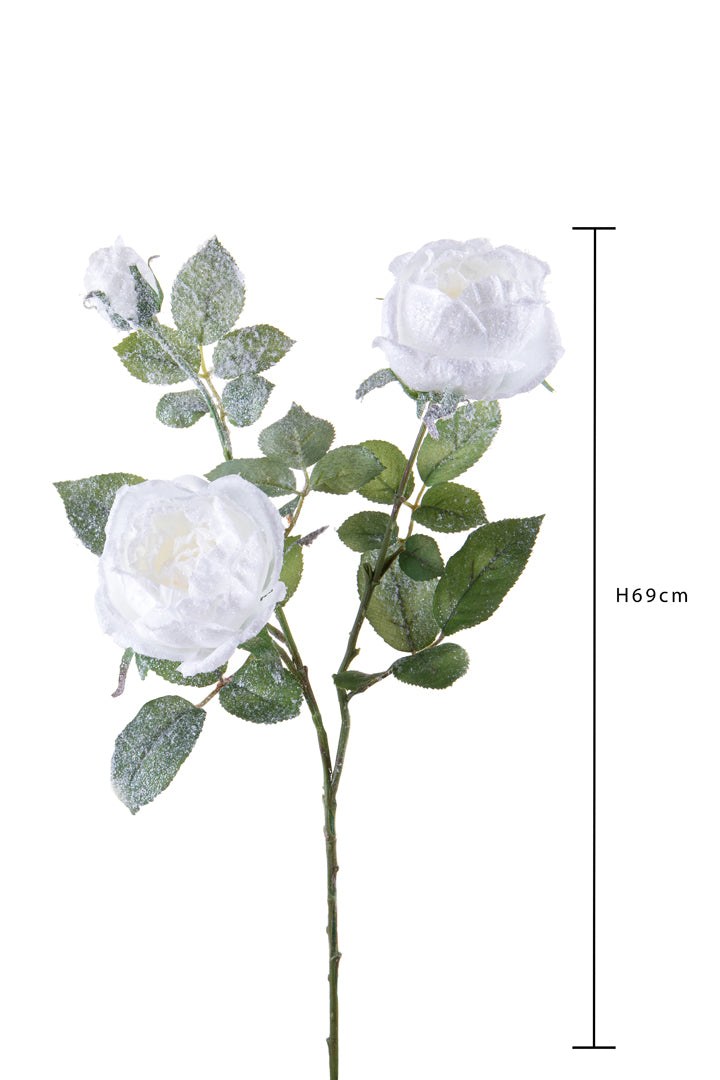 Pezzi 12 • Rosa cabbage x 3 nevicata • H 69 cm