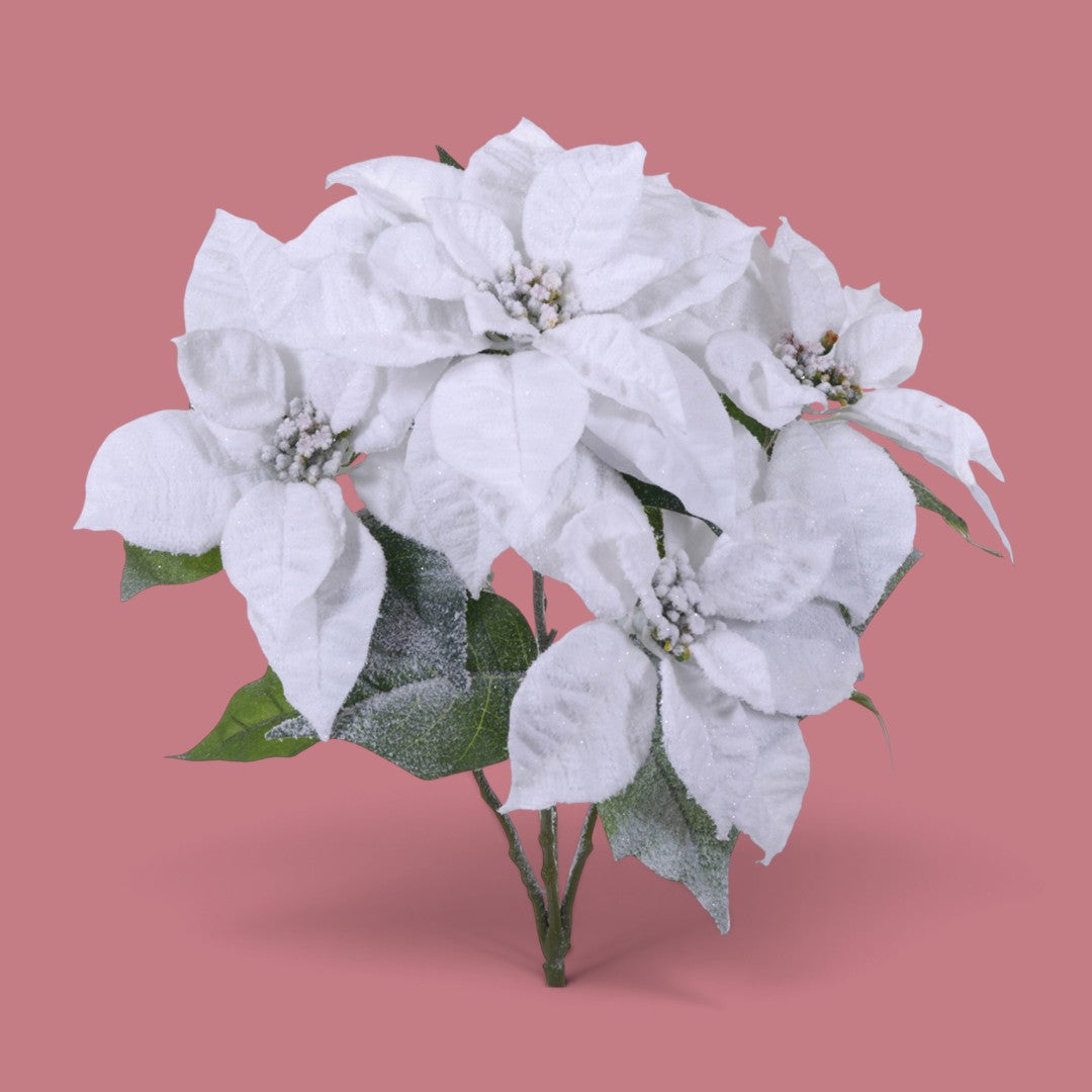 Stella natale con neve • H 43 cm