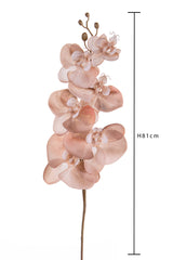 3 Pezzi • Phalenopsis br e gold • 81 cm