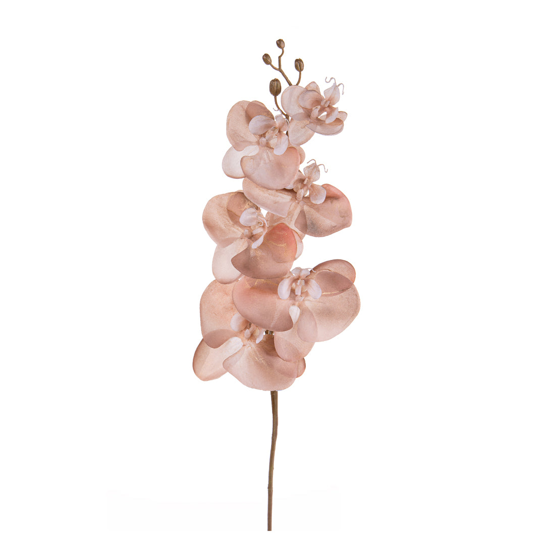 3 Pezzi • Phalenopsis br e gold • 81 cm