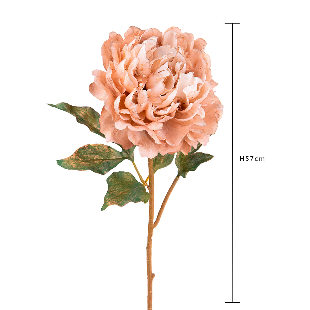 3 Pezzi • Peonia • 57 cm