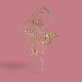 Pezzi 6 • Spirea ramo • H 131 cm