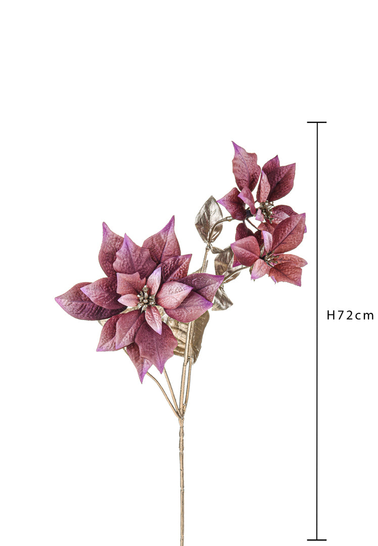 Pezzi 12 • Stella ramo • H 72 cm
