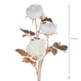 Pezzi 6 • Rosa inglese x6 • H 101 cm