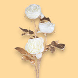 Pezzi 6 • Rosa inglese x6 • H 101 cm
