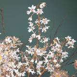 Pezzi 6 • Ramo delphinium x3 • H 112 cm