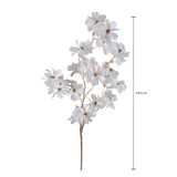 Pezzi 12 • RamoAnemone x 6 • H 92 cm