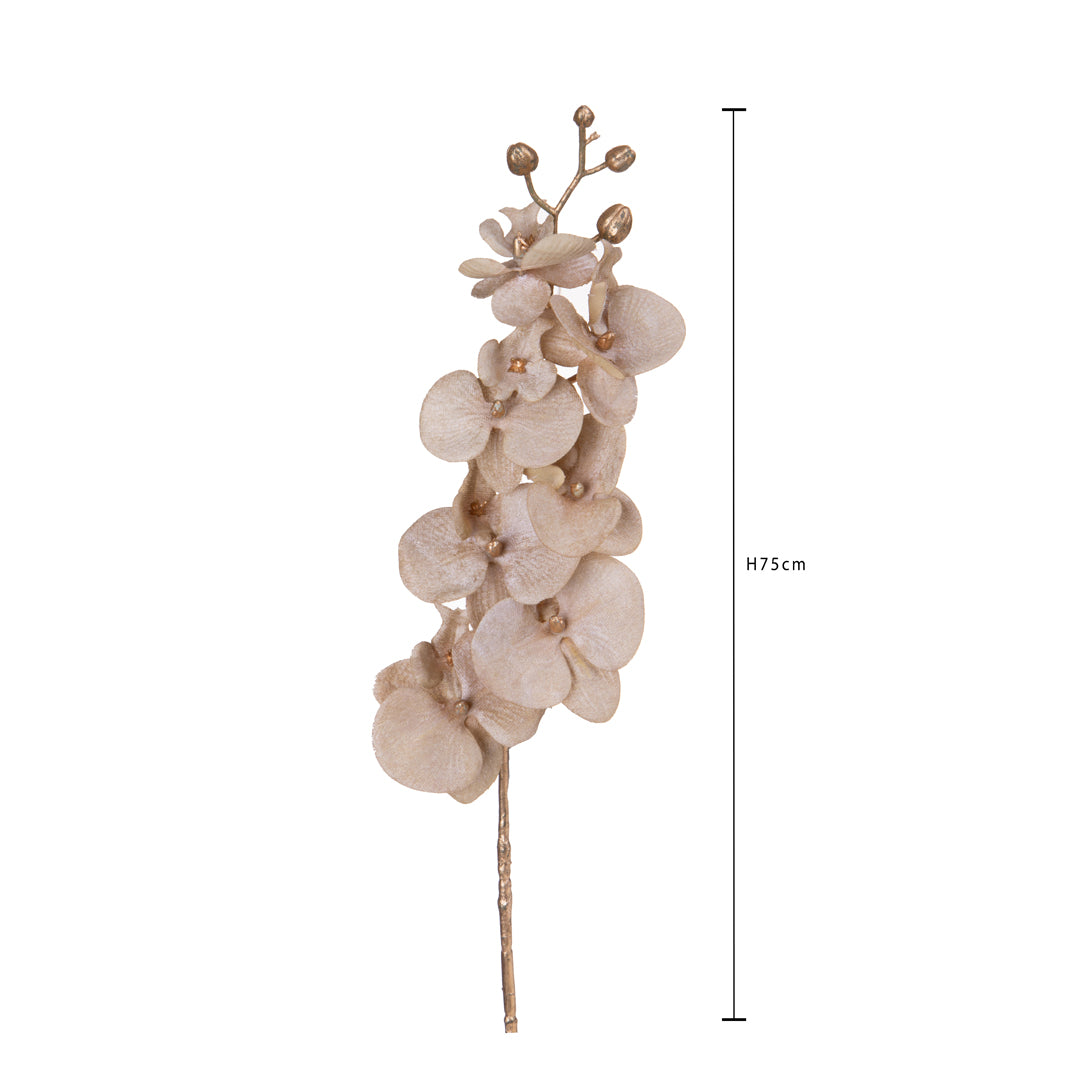 Pezzi 12 • Ramo phaleonopsis • H 75 cm