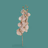 Pezzi 12 • Ramo phaleonopsis • H 75 cm