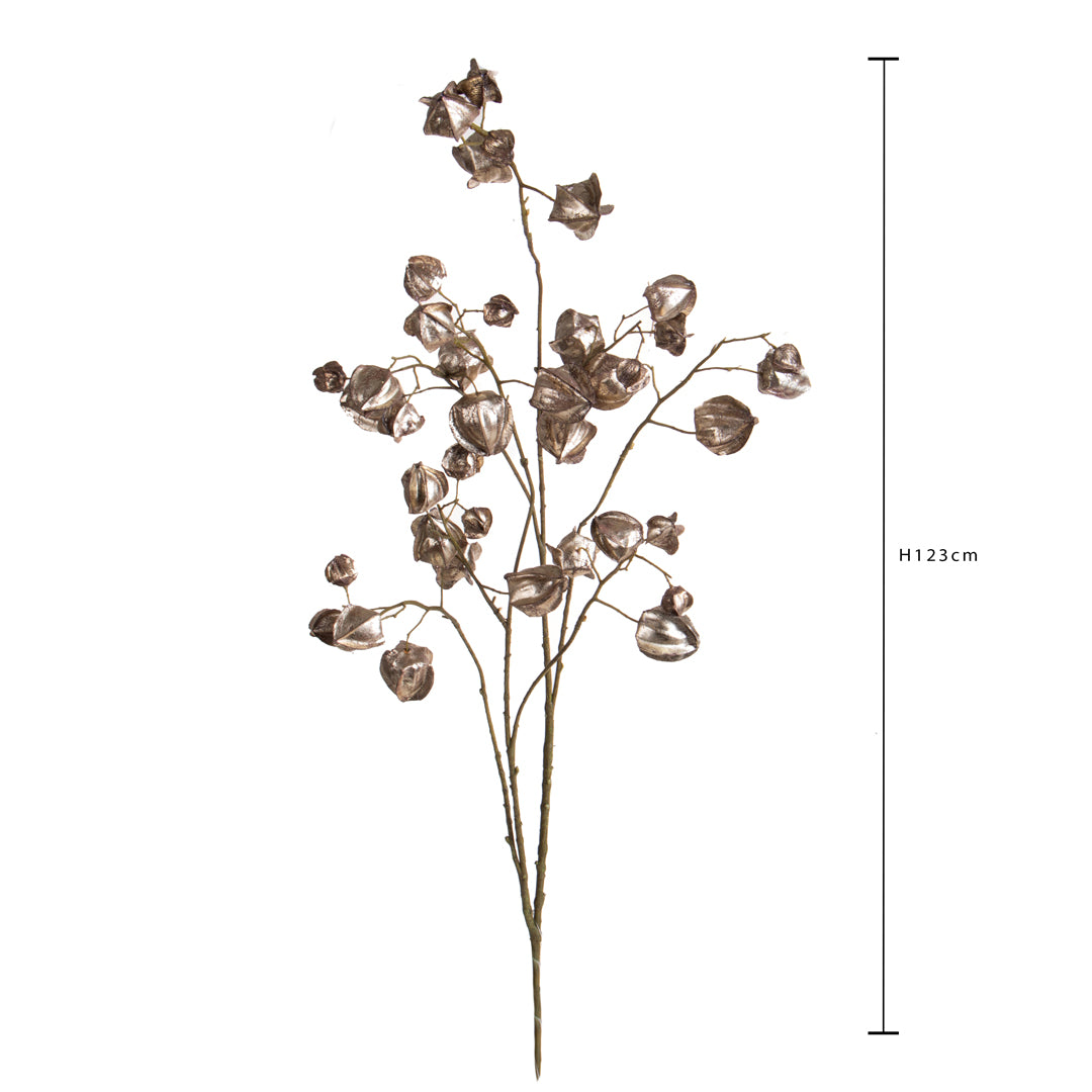 Pezzi 6 • Ramo phisalis • H 123 cm