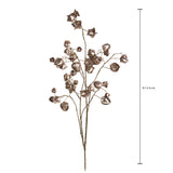 Pezzi 6 • Ramo phisalis • H 123 cm