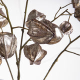 Pezzi 6 • Ramo phisalis • H 123 cm
