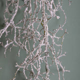 Ghirlanda tillandsia • H 13 cm