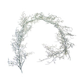 Ghirlanda tillandsia • H 13 cm