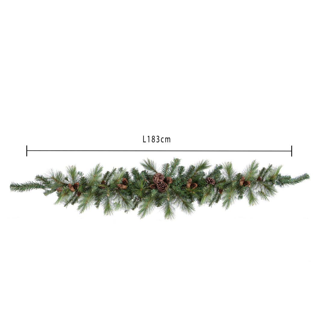 Senza porta con pigne 120 tips • H 40 cm
