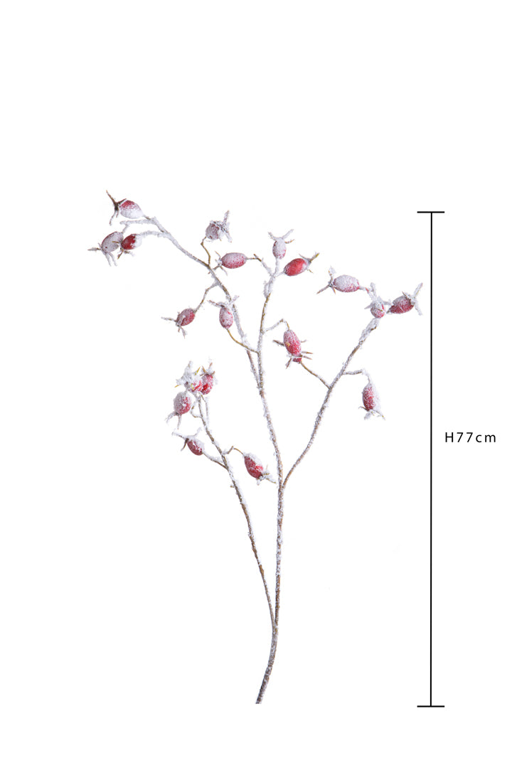 Pezzi 12 • Ramo rosa canina innevato • H 77 cm