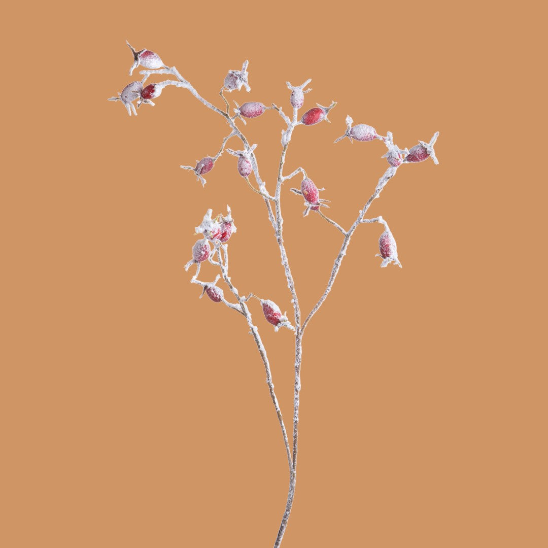 Pezzi 12 • Ramo rosa canina innevato • H 77 cm