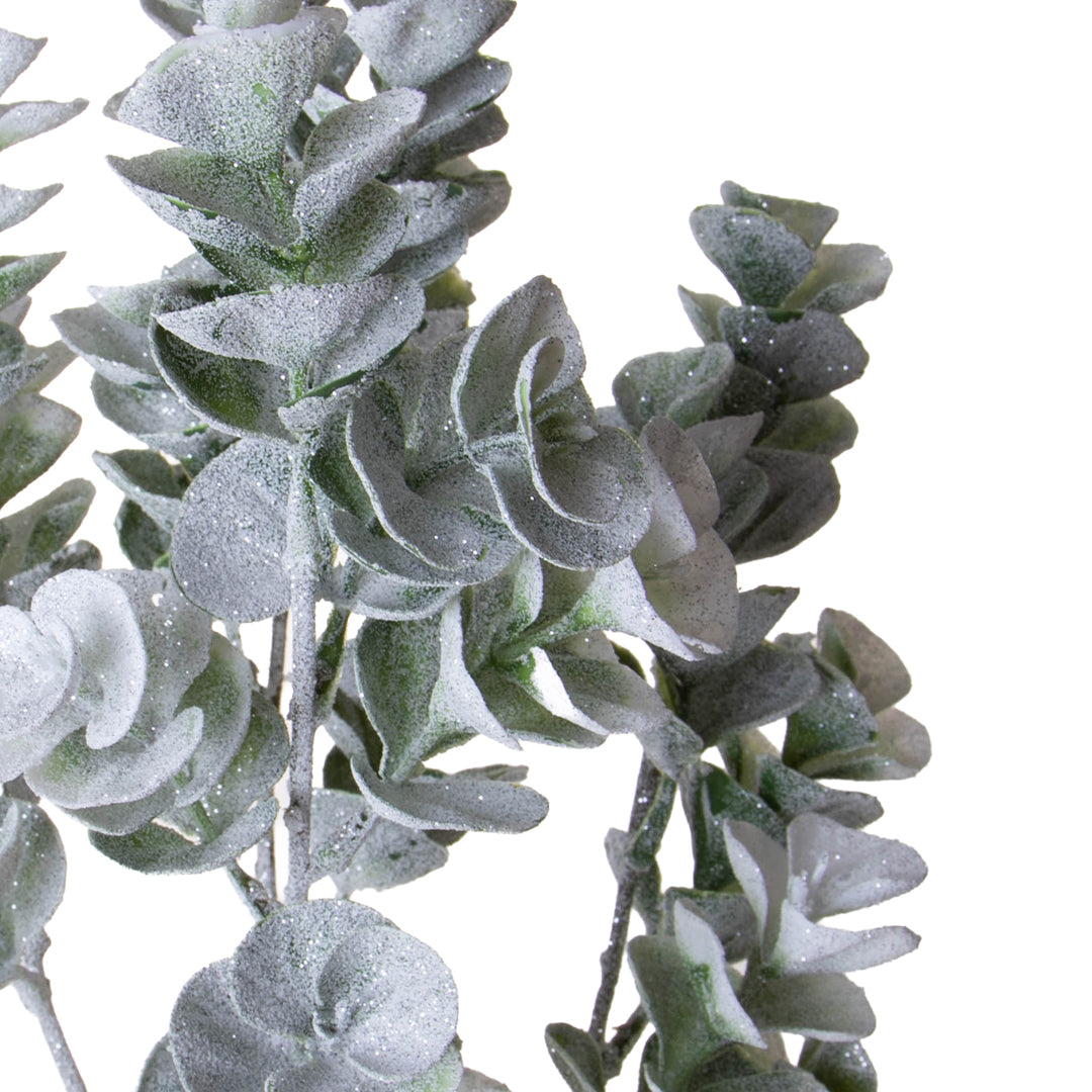 Pezzi 12 • Eucalipto ramo con neve • H 74 cm
