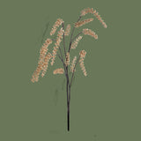 Pezzi 6 • Phytolacca ramo • H 123 cm