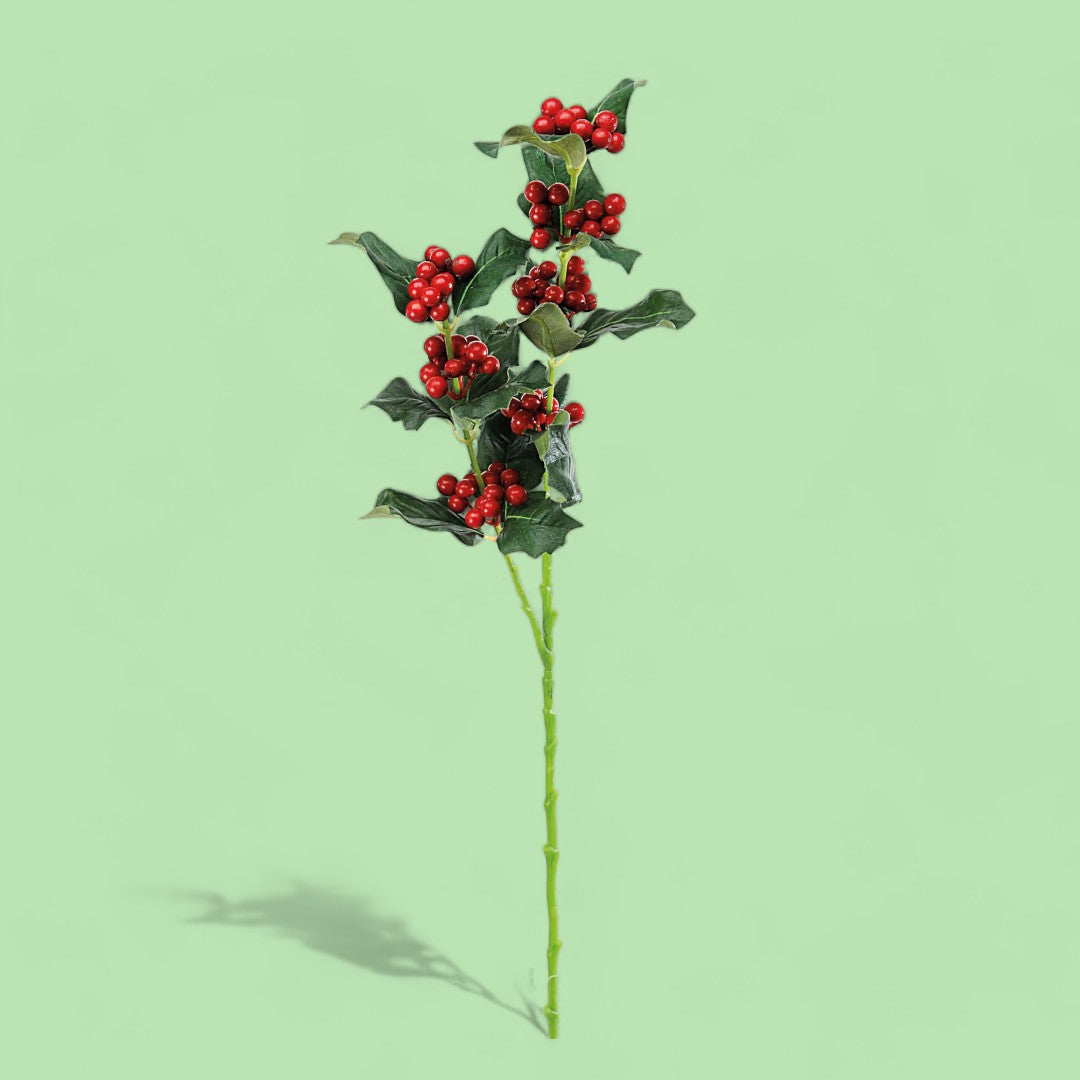 Pezzi 24 •Agrifoglio x • H 55 cm