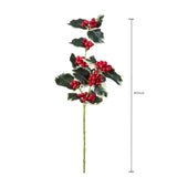 Pezzi 24 •Agrifoglio x • H 55 cm