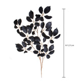 Pezzi 6 • Faggio ramo • H 123 cm