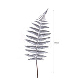 Pezzi 12 • Felce boston • H 60 cm