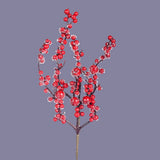 Pezzi 12 • Ramo ilex ghiacciato • H 35 cm