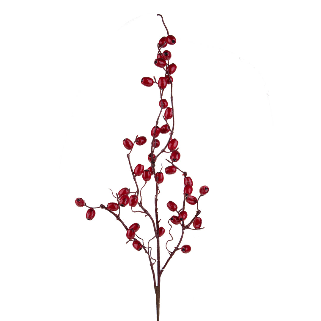 12 Pezzi •  Ramo con Bacche Rosa Canina  • 89 cm