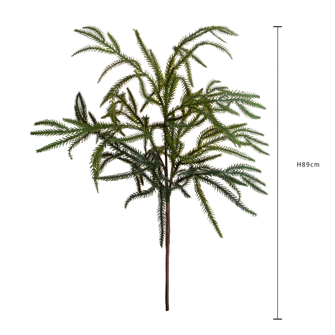 Pezzi 12 • RamoAbete norfolk • H 89 cm