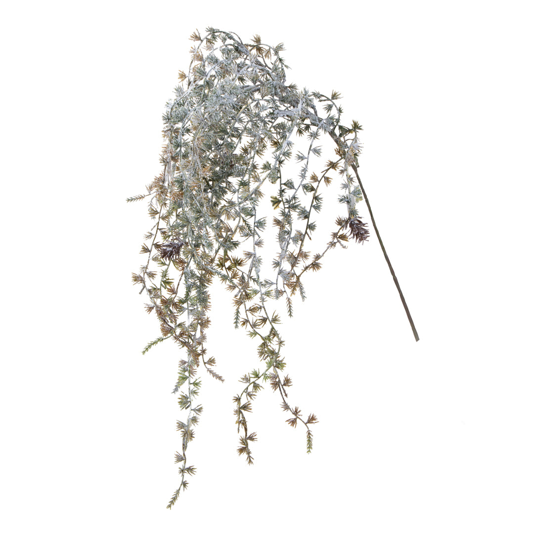 Pezzi 12 • Ramo japanese pine con 10 pigne • H 95 cm