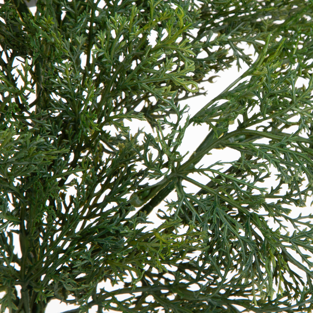 Pezzi 12 • Ramo cedro • H 79 cm