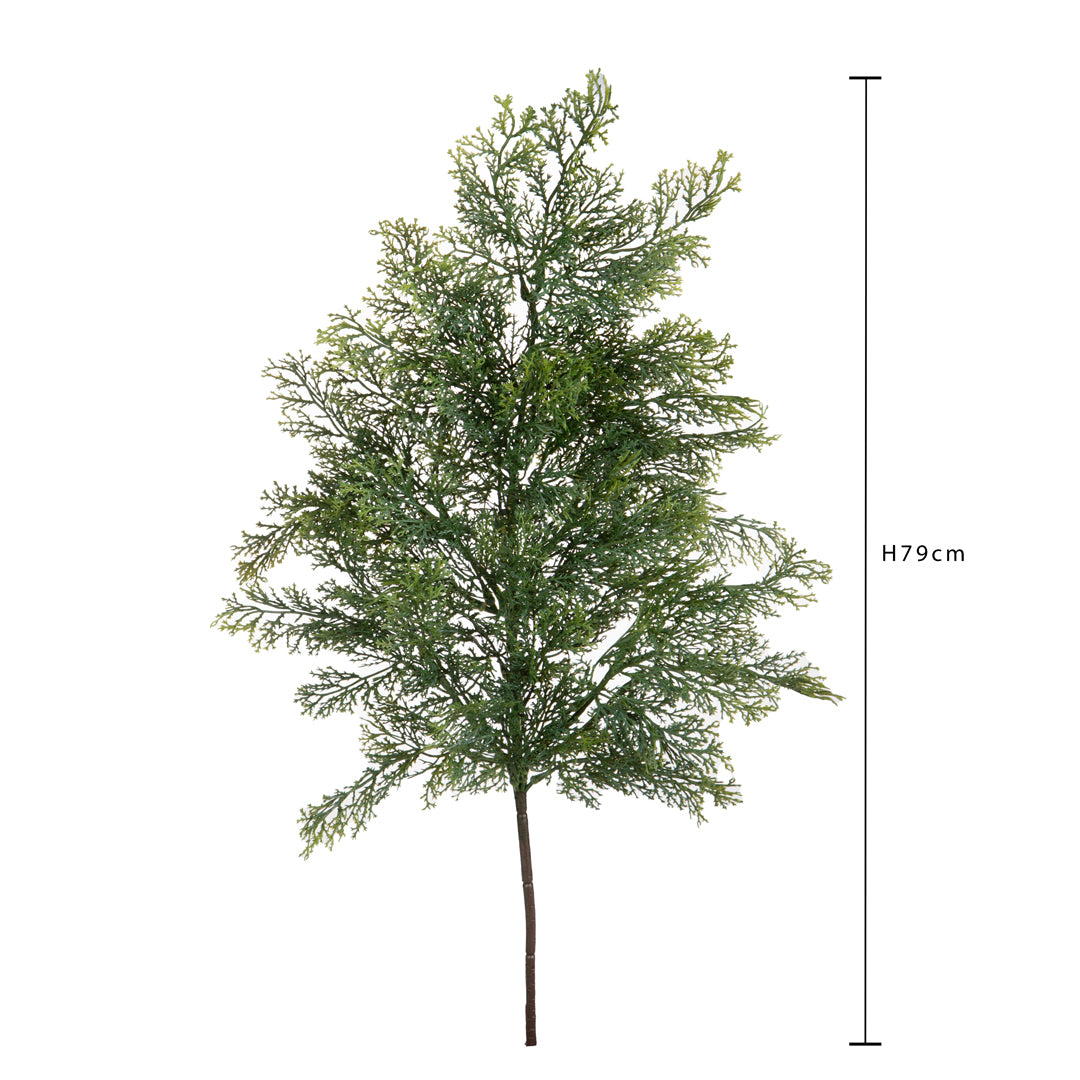 Pezzi 12 • Ramo cedro • H 79 cm