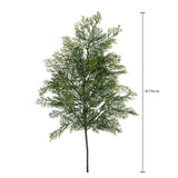 Pezzi 12 • Ramo cedro • H 79 cm